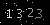 Check code picture