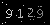 Check code picture