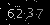Check code picture