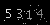 Check code picture
