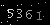 Check code picture
